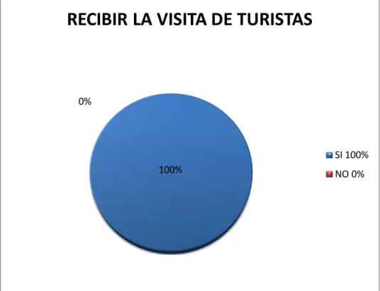 Gráfico N°9 