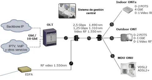 Ilustración 3: Arquitectura de una red Gpon