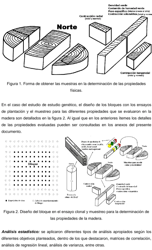 Figura 1. Forma de obtener las muestras en la determinación de las propiedades  físicas