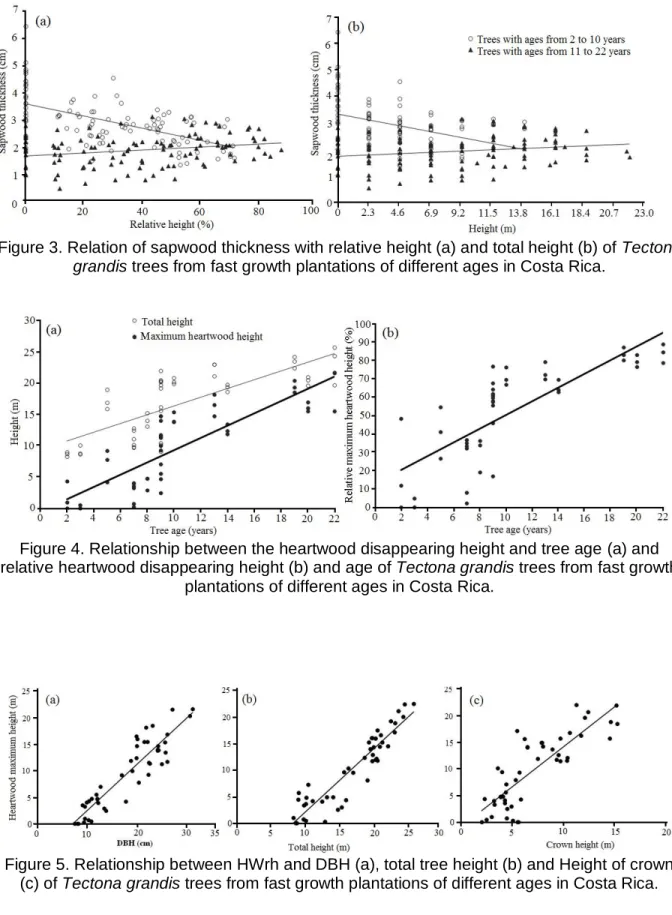 Figure 3. Relation of sapwood thickness with relative height (a) and total height (b) of Tectona  grandis trees from fast growth plantations of different ages in Costa Rica