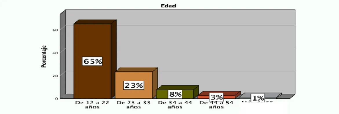 Gráfico 1: Edad 