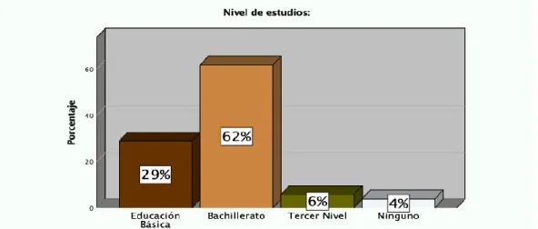 Gráfico 3: Nivel de estudios 
