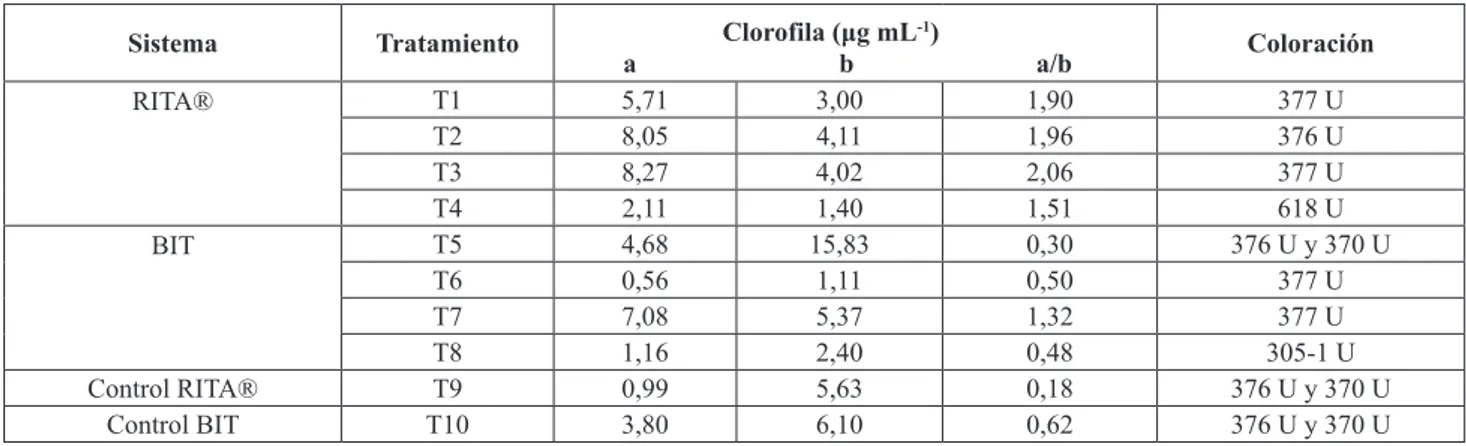 Tabla II. Concentración de clorofila a, b y su respectiva relación en plantas in vitro de Stevia rebaudiana