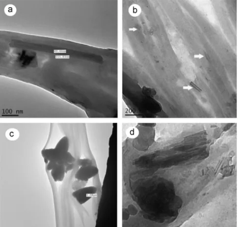 Fig. 2 shows TEM images obtained for the systems studied.