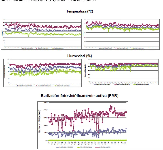 Figura 3.   Comportamiento de las condiciones climáticas (Temperatura, Humedad y Radiación  Fotosintéticamente activa) en la época lluviosa del invernadero EEAFBM