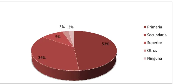 GRÁFICO N° 3 Nivel de Educación 