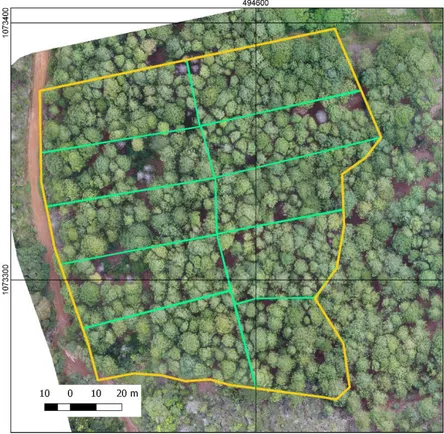 Figura  7.  Propuesta  de  bloques  de  aprovechamiento  forestal  en  la  zona  PPA-1  para  el  Plan  de  Manejo Integral de la finca El Abejonal en San Pablo de León Cortés, San José, Costa Rica