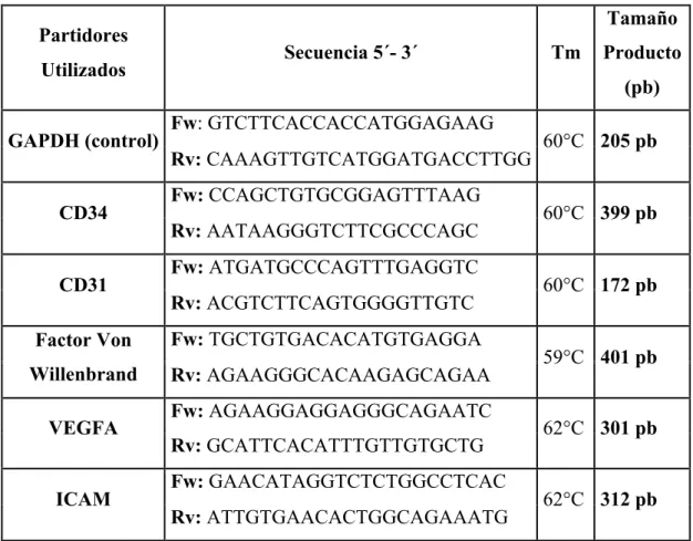 TABLA 1. Secuencias partidores utilizados para RT-PCR  	
   Partidores  Utilizados  Secuencia 5´- 3´  Tm  Tamaño  Producto  (pb) 