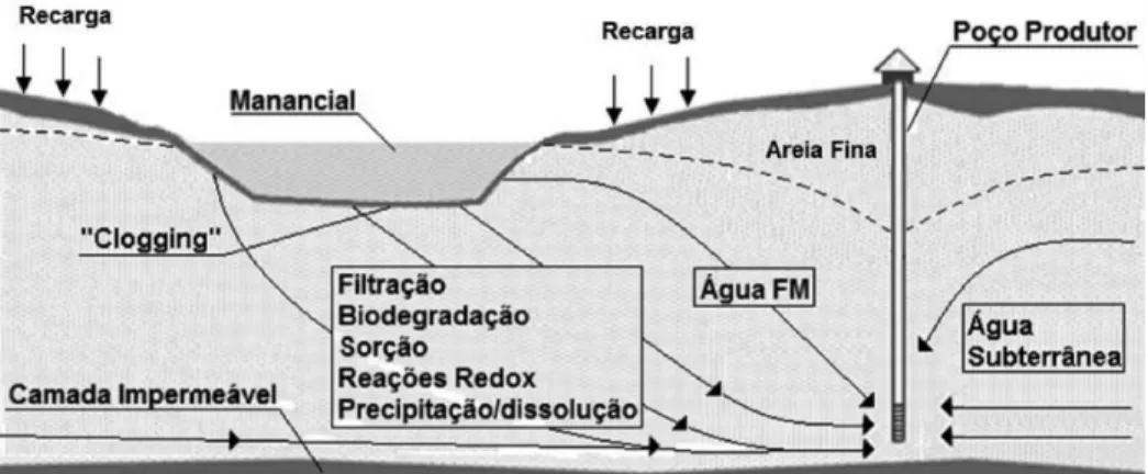 Figura 1. Diagrama do funcionamento da filtração em margem (Adaptado de Hiscock e Grischek  (2002) e Sens et al