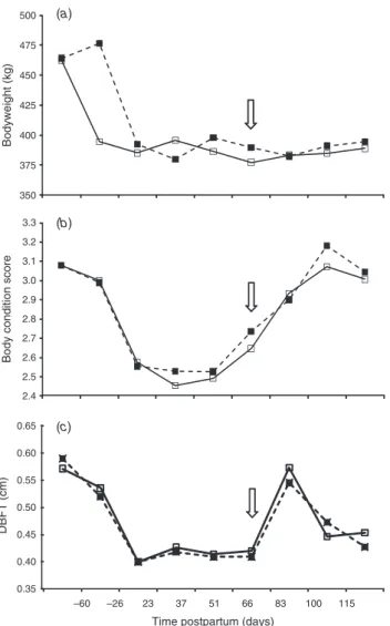 Fig. 2. Bodyweight (a), body condition score (b) and dorsal backfat thickness (DBFT) (c) of postpartum primiparous Bos indicus cows throughout the experimental period