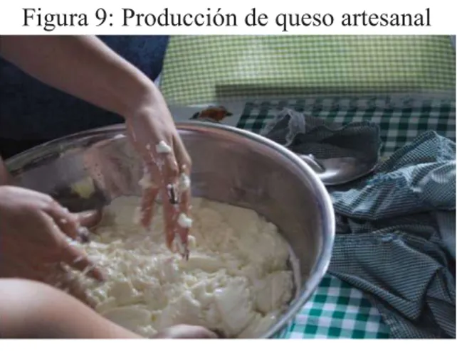 Figura 9: Producción de queso artesanal