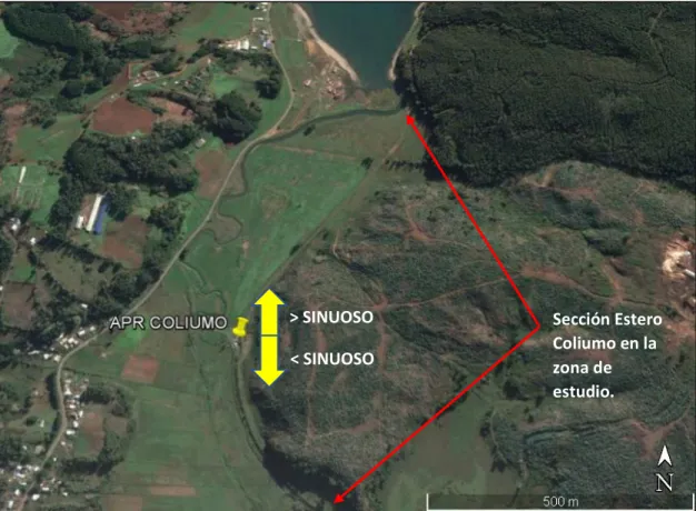Figura 3.3: morfología Estero Coliumo.