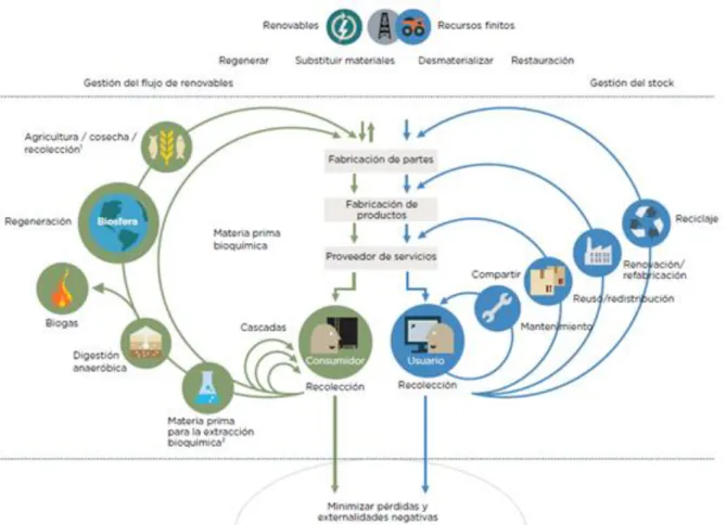 Figura 2-3. Esquema de una Economía Circular.  