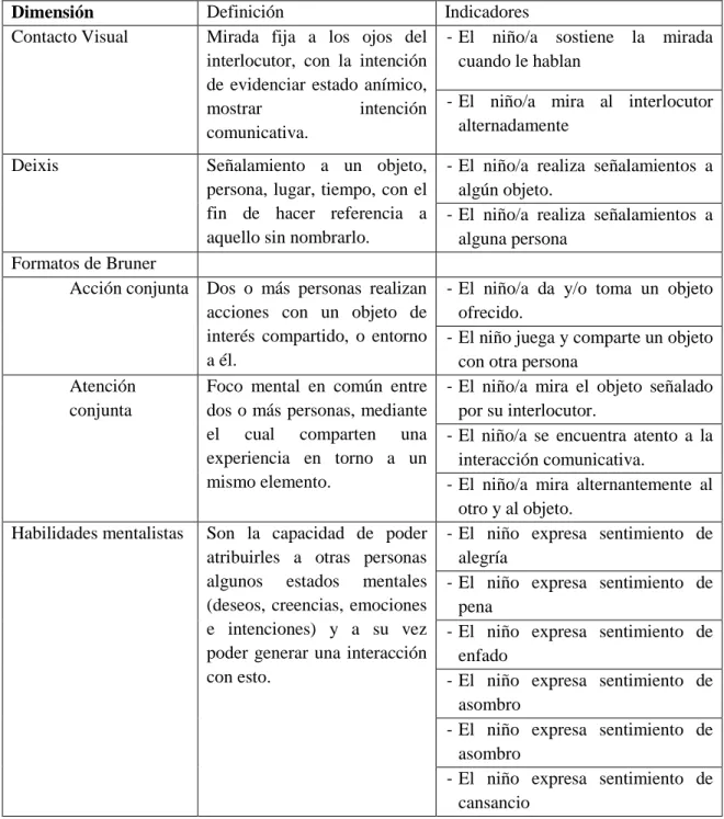 Tabla 8. Dimensiones de observación 