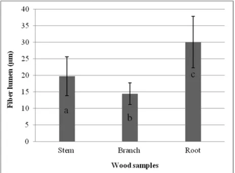 FIGURE 4 - The average of lumen diameter in stem, branch and root wood 