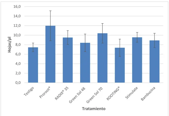 Figura 8.  Efecto de promotores de rizogénesis comerciales sobre número de hojas  de esquejes de raicilla, Moravia, Cutris, San Carlos, 2019
