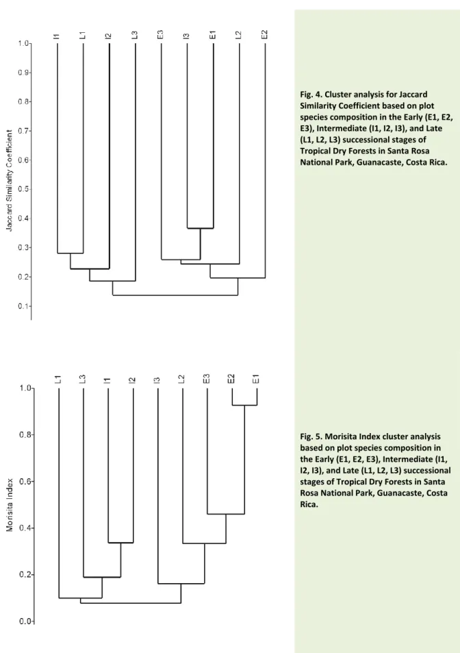Fig. 4. Cluster analysis for Jaccard  Similarity Coefficient based on plot  species composition in the Early (E1, E2,  E3), Intermediate (I1, I2, I3), and Late  (L1, L2, L3) successional stages of  Tropical Dry Forests in Santa Rosa  National Park, Guanaca