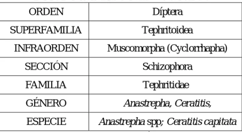 Tabla 1. Taxonomía de la mosca de la fruta.