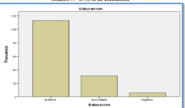 Gráfico N° 4. Nivel de Educación 