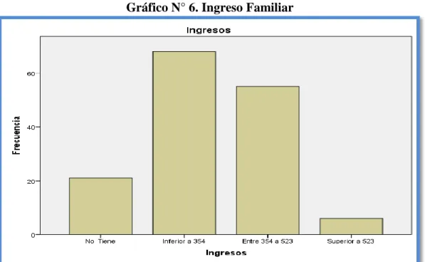 Gráfico N° 6. Ingreso Familiar 