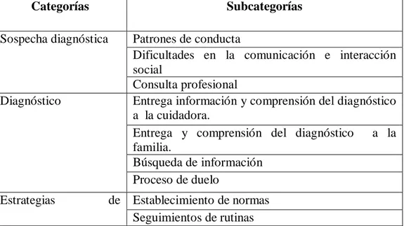 Tabla 1. Categorías y subcategorías 