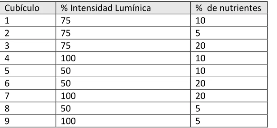 Figura 3:  Pruebas con diferentes tipos de lámparas 