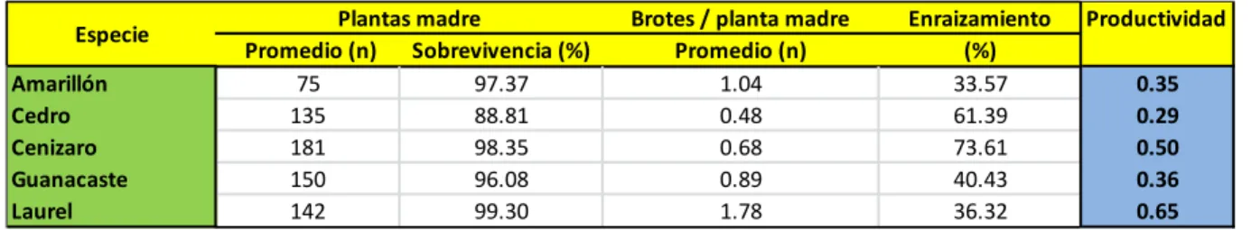 Cuadro  8:    Tasa  de  brotadura  y  de  enraizamiento  para  cinco  especies  nativas  evaluadas  como minijardín clonal en el invernadero de investigación forestal clonal del ITCR en Santa  Clara, San Carlos