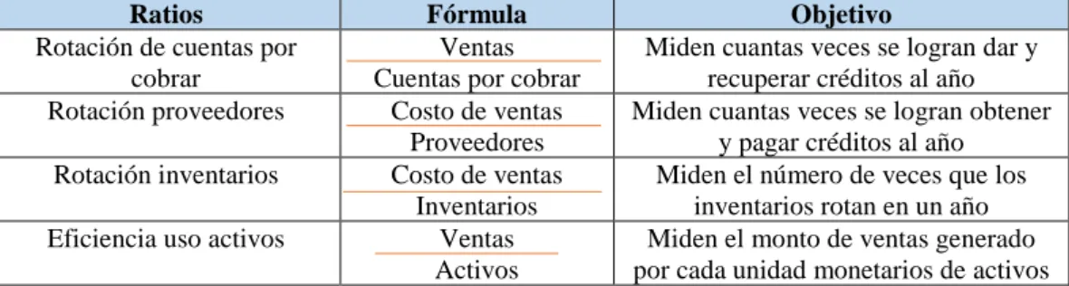 Cuadro 1: Ratios de Gestión 