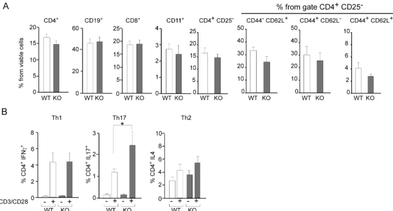Fig 2. Gal-8 deficit favors selective Th17 cell differentiation upon polyclonal activation