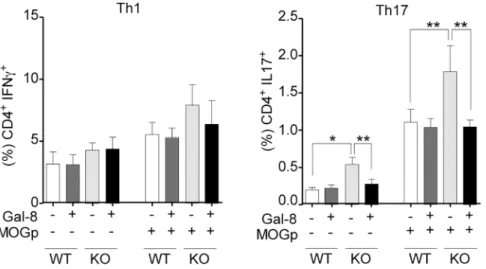 Fig 4. Galectin-8 deficit increases the frequency of total Tregs and CXCR3 + Tregs. Splenocytes isolated from Lgals8 +/+ (WT) and Lgals8 -/- (KO) mice were analyzed at steady state for total Tregs (Foxp3 + ), CXCR3 + and CCR6 + frequency in the Treg (Foxp3