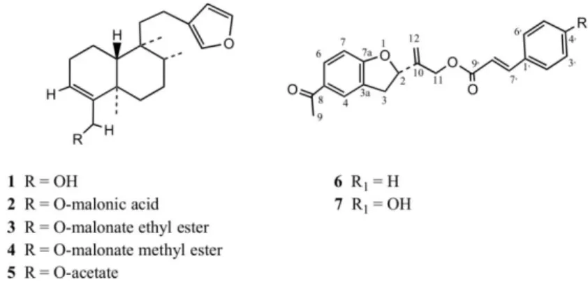 Figure 2. Structures of clerodanes (1–5) and tremetones (6–7) isolated from P. quadrangularis