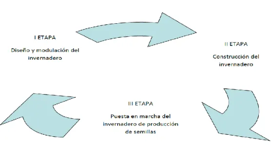Figura 2. Diagrama de etapas del proyecto de investigación. 