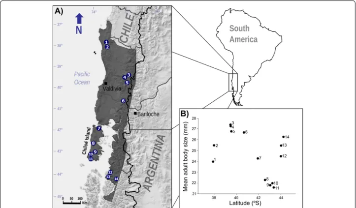 Fig. 1 a Geographic distribution and (b) latitudinal body size variation (snout-vent length) of sampled Rhinoderma darwinii populations