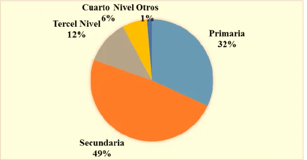 GRÁFICO 5   Nivel de Instrucción 