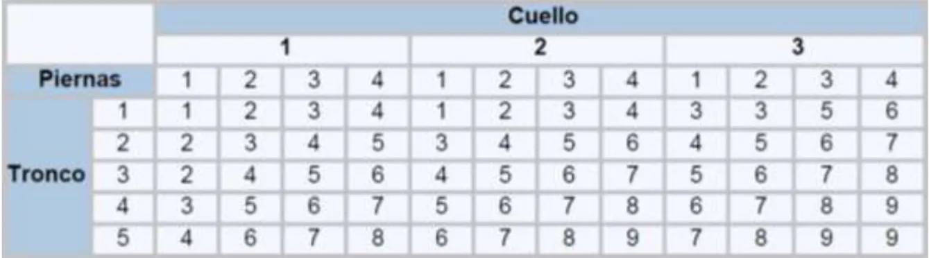 Cuadro 5. Puntuaciones grupo B