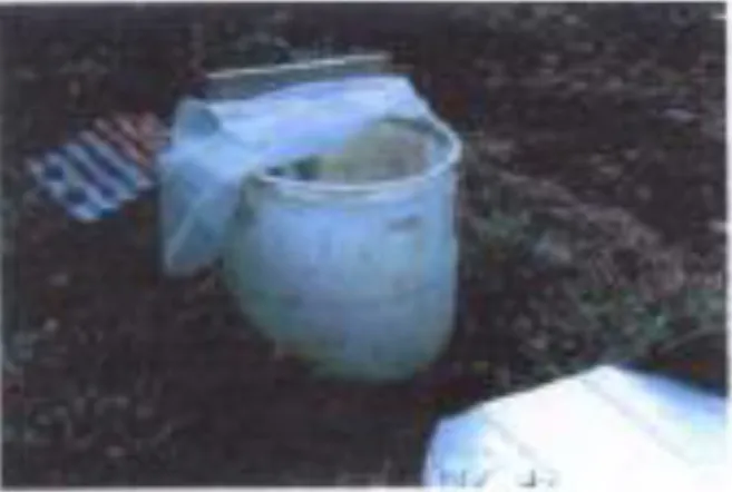 Figura  6.  Estañón  sin  fondo  para hacer  abono  con desechos  del  comedor  del  ITCR en San Carlos, 2001