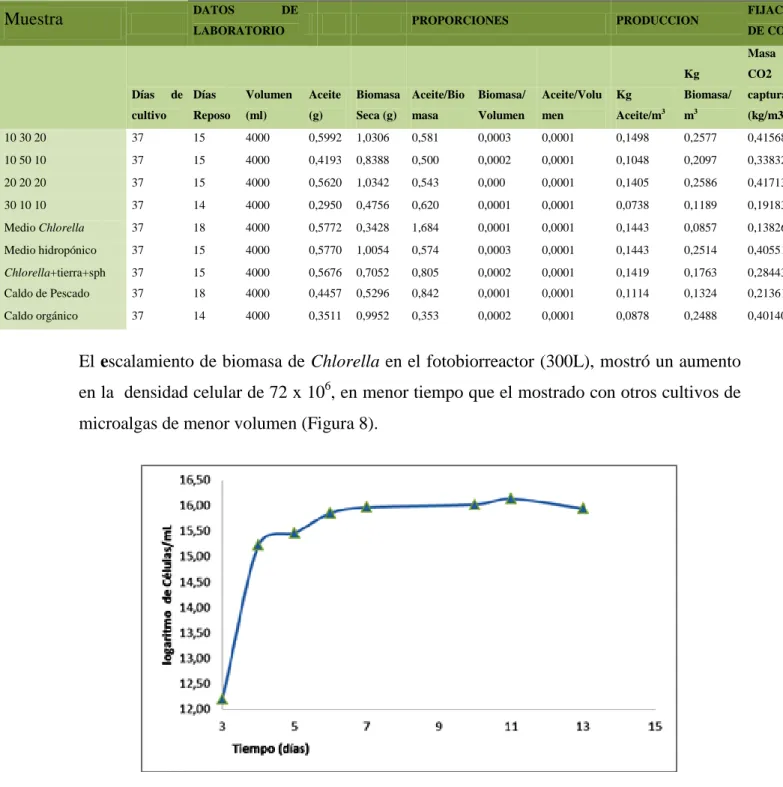 Figura  8.    Curvas  de  crecimiento  de  Chlorella  sp.,  durante  un  periodo  de  15  días  en  condiciones de fotobiorreactor