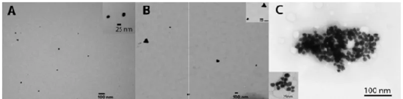 Figure  4.  UV-Vis  spectra  of  gold  nanoparticles  synthesized  using  polysaccharides  (Ps)  containing  sulfates  (RSC1)  and  carboxylic  (BSA1)  groups  as  reducing  agents