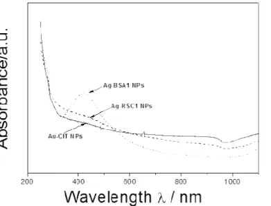 Figure  6.UV-Vis  spectra  of  silver  nanoparticles  synthesized  using  polysaccharides  (Ps)  containing  sulfates  (RSC1)  and  carboxylic  (BSA1)  groups  as  reducing  agents