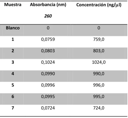 Cuadro 5. Absorbancia a 260nm y concentración de productos de PCR  Muestra  Absorbancia (nm)  260  Concentración (ng/l)  Blanco  0  0  1  0,0759  759,0  2  0,0803  803,0  3  0,1024  1024,0  4  0,0990  990,0  5  0,0996  996,0  6  0,0995  995,0  7  0,0724  