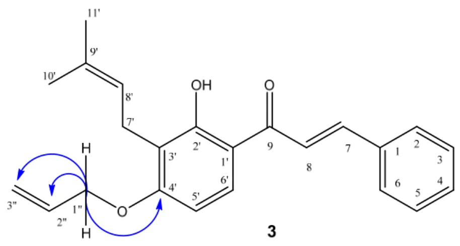 Figure 1. The most important correlations shown by 2D  1 H- 13 C HMBC, compound 3. 