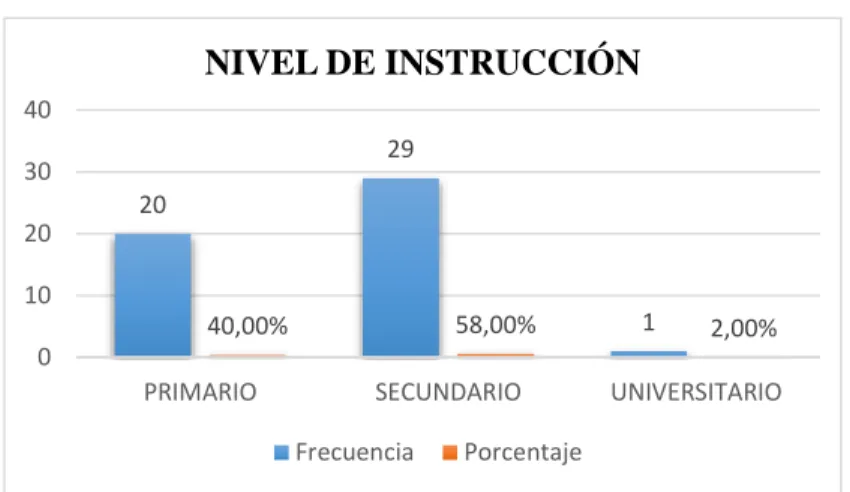 Tabla 14. Nivel de Instrucción  