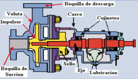 FIGURA  11. Partes principales de una bomba. 