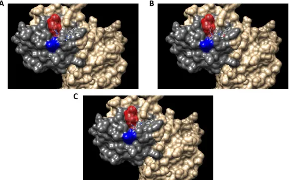 Figure 8. Determination of telomerase activity by qPCR. Quantification of telomerase activity was  carried out by real time PCR with specific primers, using a protein extract from treated and untreated  telomerase positive cells as a template for 48 h