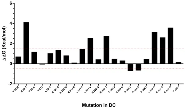Figure 6. Analysis of mutation stability in the hDKC1 model by Foldx software. Mutations comprised  between red dashes lines (−0.5 Kcal/mol to 1.5 Kcal/mol) correlates with the mutations that are not  destabilizing