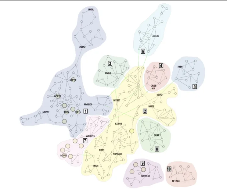 FIGURE 3 | Gene co-expression network of 23 candidate genes and the known UPR signaling machinery