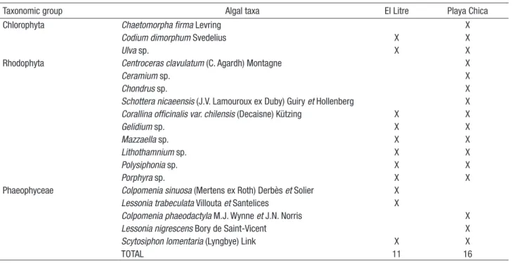 Table I. Taxonomic groups and algal taxa recorded at the study sites (Quintay, Valparaiso, Chile).