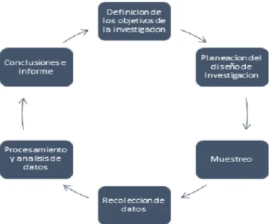 Figura 3. Etapas del  proceso de  la investigación 