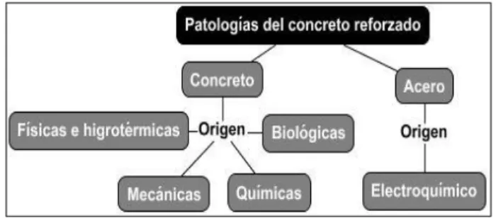 Figura 2. Clasificación de las patologías según su origen  Fuente: Fernández (1996) 