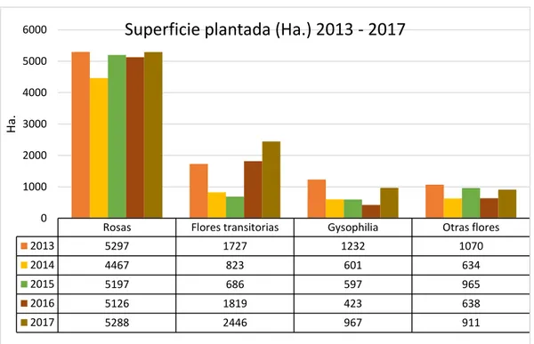 Gráfico 2. Superficie plantada por variedad de flores en el Ecuador (2013 – 2017). 
